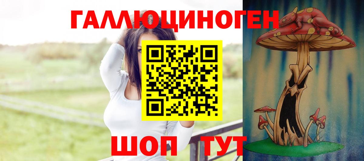 Менделеевск  Галлюциногенные грибы GOLDEN TEACHER  Вход с VPN 